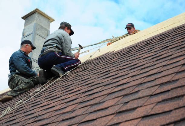 Best Storm Damage Roof Repair  in Siler City, NC